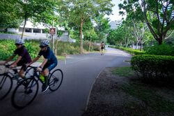 Blk 308B Punggol Walk (Punggol), HDB 4 Rooms #570641831